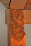 Mountain Lake House-Details